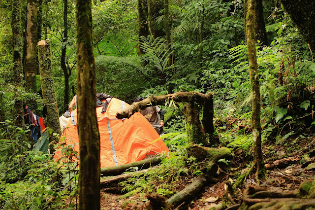 Hiking Gn. Salak Mepo Basecamp Cimelati